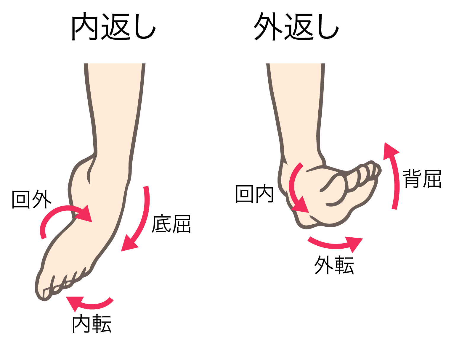 足部・足関節の外傷 足部・足関節の外傷 診断・保存的治療・手術｜動画ライブラリ